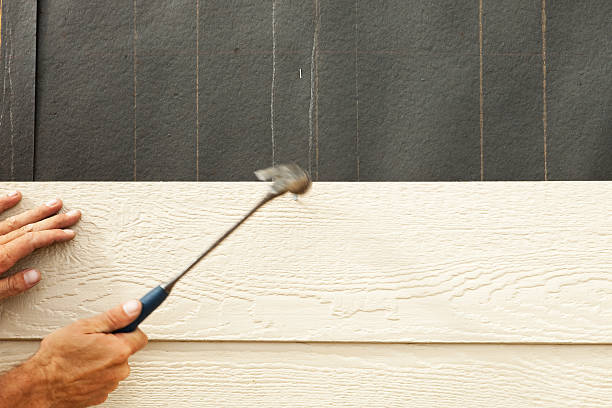 Best Storm Damage Siding Repair  in Rainbow City, AL